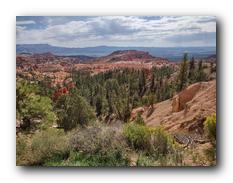 Bryce Canyon NP 32.jpg